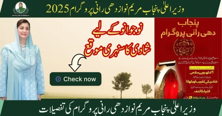 Dhee Rani Programme By CM Punjab Maryam Nawaz