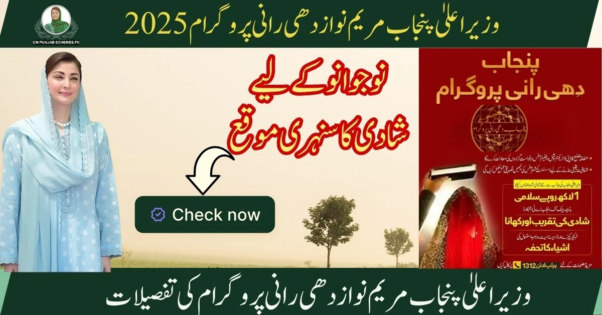 Dhee Rani Programme By CM Punjab Maryam Nawaz