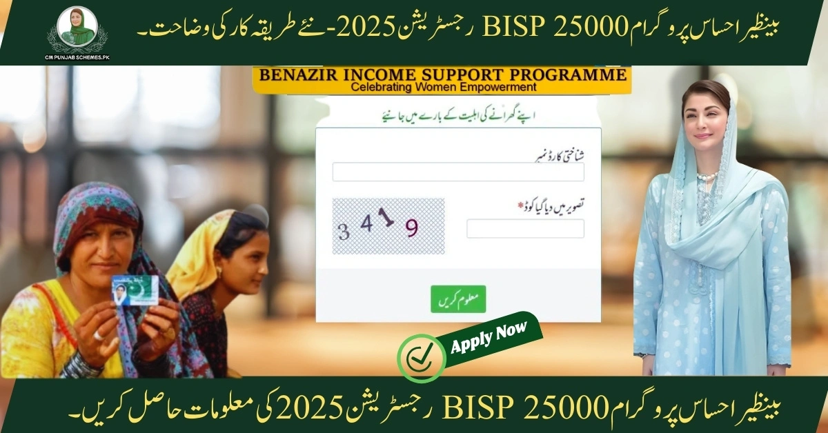 BISP 25000 Program
