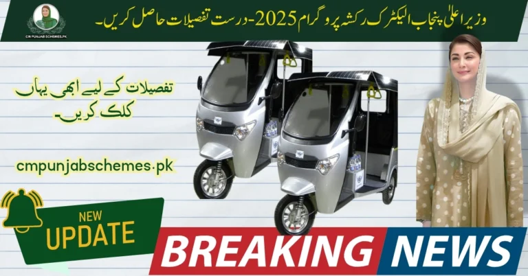 CM Punjab E Rickshaw Program 2025 : New updates & Comprehensive Guide 8 E Rickshaw Program