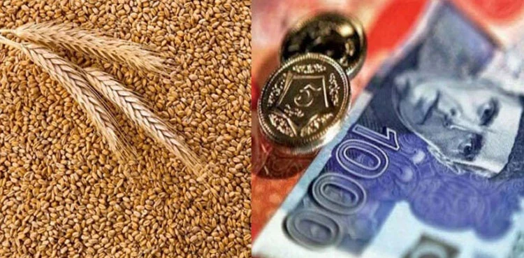 CM Punjab Issues Wheat Subsidy Payment Orders 2025 for Farmers Without Kisan Cards 3 Wheat-Subsidy-Program