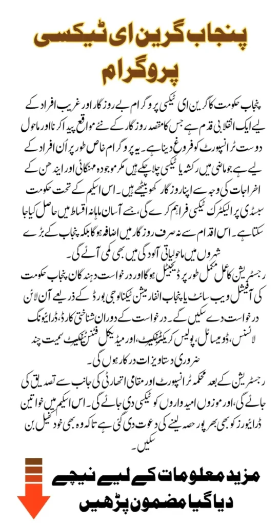 CM Electric Vehicles Program 2025